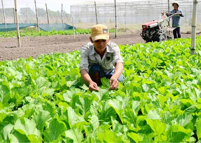 Xây dựng nông thôn mới: Phát huy vai trò chủ thể