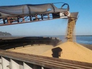 Argentina ranks first in the world in exporting soybean residue (Photo: elcampohoy.com)