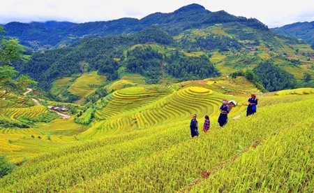 The project aims to improve the implementation of the socio-economic development plan for policies to support the poor and growth.— File Photo