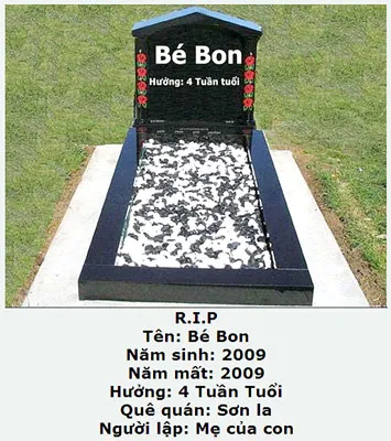 Nghĩa trang ảo và sự thật đau lòng