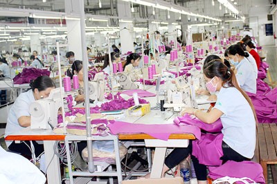 The revised Enterprise Law has several problems that need to be addressed, said experts (Photo: SGGP)