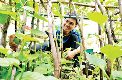 Chiến sĩ tăng gia sản xuất trên đảo.