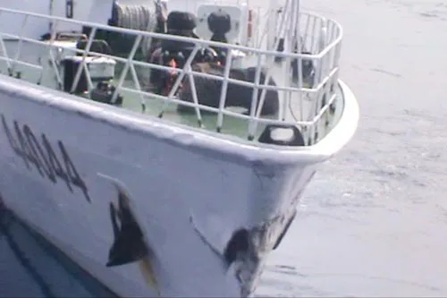 Tàu Trung Quốc  tiếp tục gây hấn đâm thẳng vào tàu Cảnh sát biển Việt Nam ảnh 3