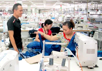 Việt Nam và doanh nghiệp nước ngoài đều là người bị hại