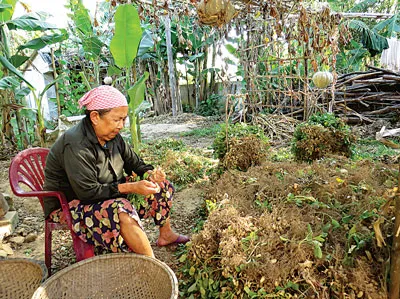 Phía bờ hậu phương