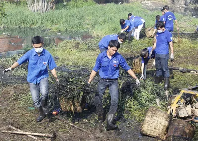 Hơn 650 bạn trẻ tham gia “Ngày chủ nhật xanh lần thứ 105”