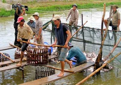 Xuất khẩu thủy sản: Nhiều thách thức mới