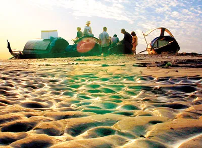 Phù sa nơi bến sông.