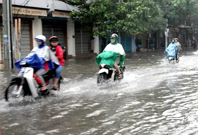 TPHCM: Mưa lớn, nhiều cây xanh bật gốc