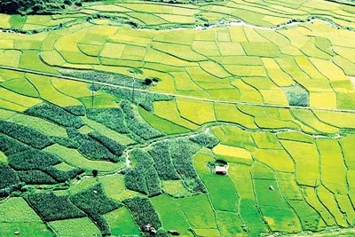 Nhiều đề xuất mới về quản lý và sử dụng đất trồng lúa