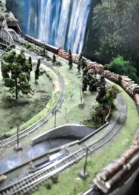 Các toa tàu chở nhiều loại hàng như gỗ, than hay container... rất sinh động