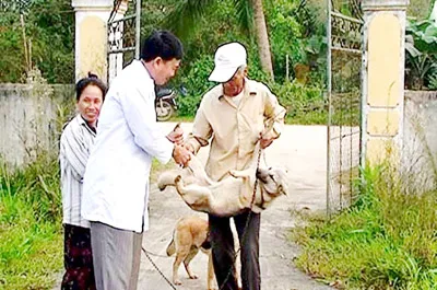 Mùa hè nóng bức - Cảnh giác với bệnh dại