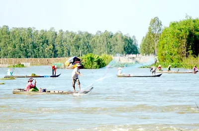 Giảm vụ lúa để tăng sinh kế