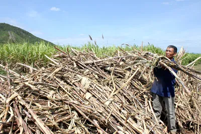 Doanh nghiệp sai, lại phạt dân