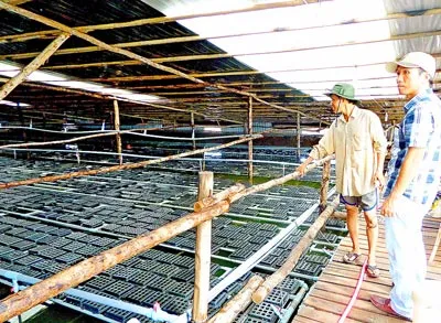 Điểm nhấn đô thị ven biển