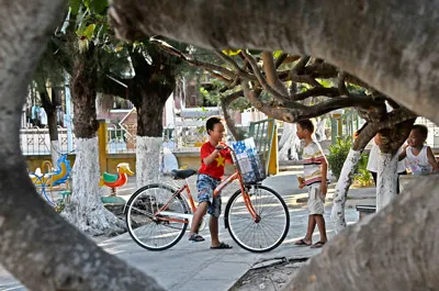 Một ảnh trong Sức sống Trường Sa của Việt Dũng.