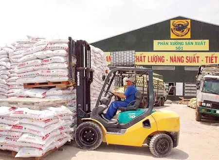 Bình Điền - Sức mạnh từ nội lực
