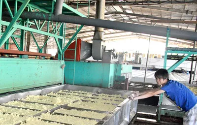 Tiết kiệm tiền tỷ