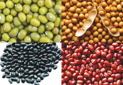 Thực phẩm và cholesterol