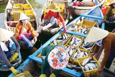 Vững vàng cảng cá Sa Kỳ