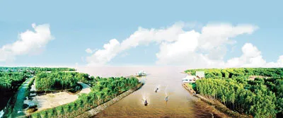 Chào hè về với miệt vườn miền Tây