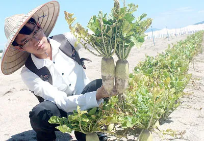 Màu xanh trên cát trắng