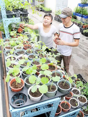 Hấp dẫn thị trường giống nông nghiệp