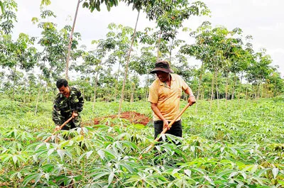 “Miền đất hứa” ngay trên quê mình