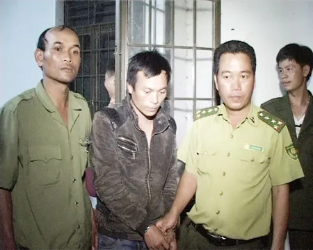 Đắk Nông: Bắt nhóm lâm tặc khai thác hơn 18m³ gỗ quý