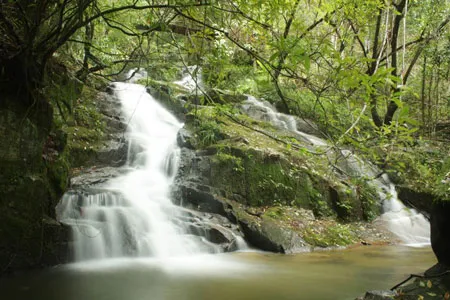 Một thác giữa rừng già nguyên sinh.