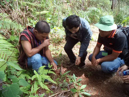 Du khách tìm hiểu kỹ năng đi rừng với hướng dẫn viên bản địa.