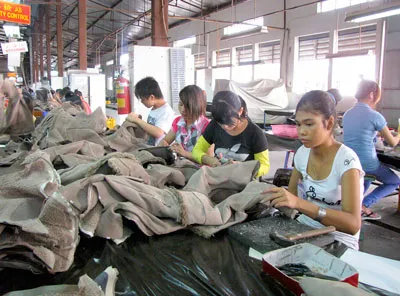 Xuất khẩu da giày  - Cơ hội tương phùng