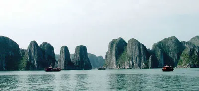 Không thể khoán trắng di sản cho doanh nghiệp