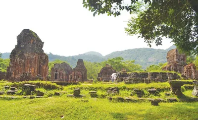 Khu đền tháp Mỹ Sơn ẩn hiện trong rừng già