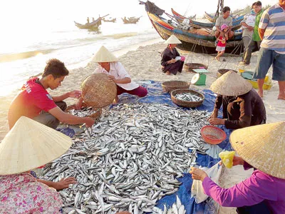 Chuyện mới ở Ngư Thủy