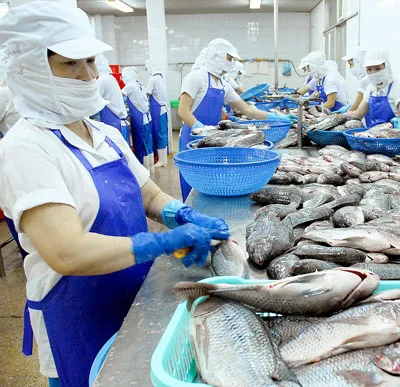 Phải xây dựng được sàn lương hưu tối thiểu