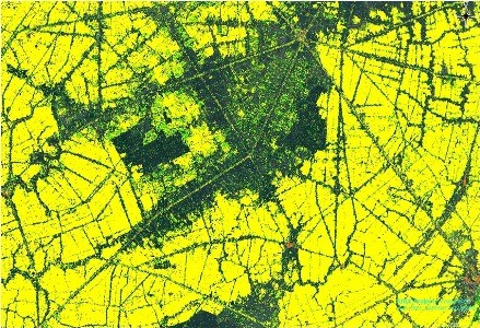 Viet Nam will using satellite images to analyse rice production areas, researchers were able to forecast productivity with over 90 per cent accuracy (Photo: dantri.com.vn)