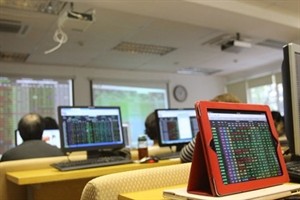 A stock trading session at Hoang Gia Securities Co in Hanoi (Photo: VNA)