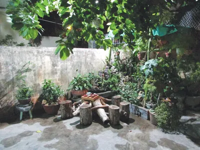 Ảnh tham dự cuộc thi Không gian thưởng trà