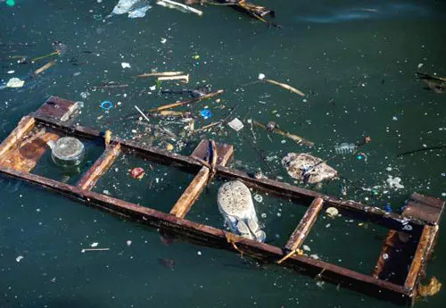 Nuớc ở vịnh Rio quá ô nhiễm