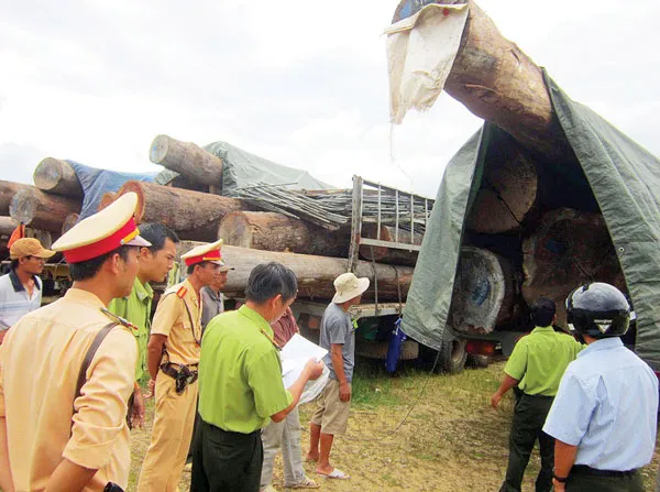 Thừa Thiên - Huế: Bắt xe chở gỗ quá tải 340%