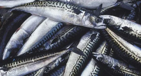 Doanh nghiệp Anh thừa nhận thiệt hại vì lệnh trừng phạt từ Nga