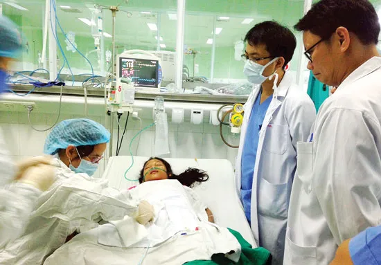 Chị em bị ong vò vẽ đốt hơn 140 mũi