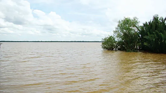 Thăm nhà văn Trang Thế Hy