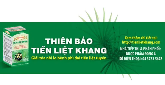 Cọ lùn (Saw Palmetto) & bệnh lý phì đại lành tính tiền liệt tuyến