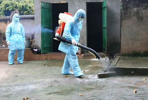 Tiêu độc, khử trùng xử lý triệt để ổ dịch cúm A/H5N6