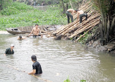 Workers fortify an embankment section along Lang Canal in Thu Duc District where is regularly burst (Photo: SGGP)