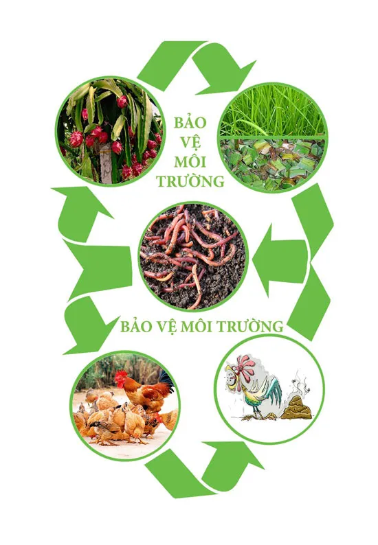 Holcim bàn giao dự án Thùng rác sinh học tại Bình Thuận ảnh 4