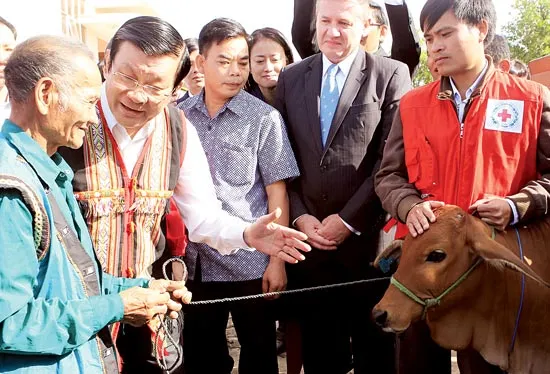 Khai thác đất rừng phải hợp lý, khoa học