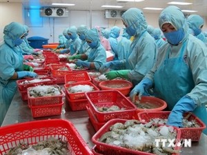 Seafood manufacturing (Photo: VNA)